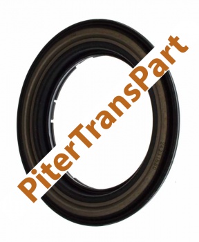 Ретейнер 6T30e сцепление 4-5-6 (1 gen) (2103321A)