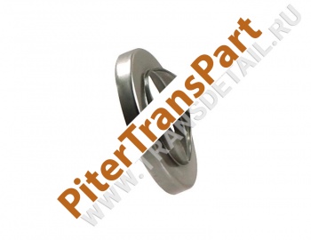 Bearing race  (GM-N-4H)