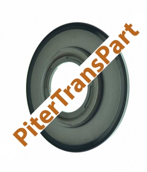 Ретейнер Tf80sc/tf81sc сцепление c1/1-2-3-4 (79225)