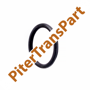 Уплотнительное кольцо Dp0/al4 (speed sensor) (2645.12)