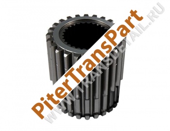 Rear sun gear  (S6883901)
