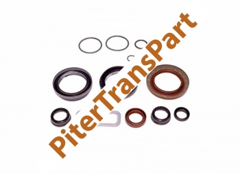 Комплект прокладок Dps6/6dct250 c 2010г (20901B)