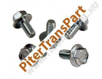Pan bolt  (S29500738)