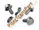 Pan bolt  (S29500738)