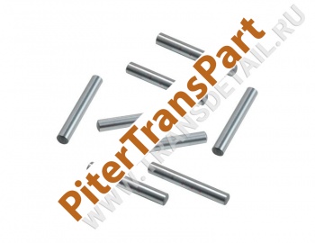 Pinion roller  (34821-06)