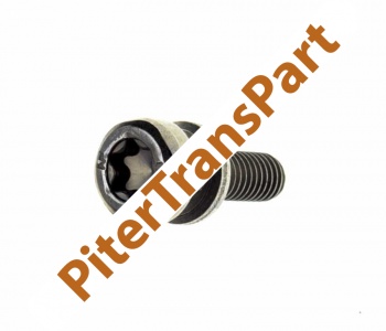 Болт крепления поддона Zf6hp26/zf6hp19 (0736-010-347)