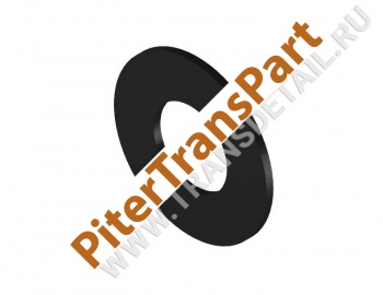 Thrust washer  (FD-WF-125)