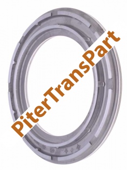 Поршень Zf4hp20 сцепление f (1019-377-021)