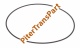 Уплотнительное кольцо насоса Cd4e (13916)