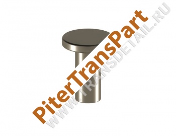 Rivet  (GM-RV-5)
