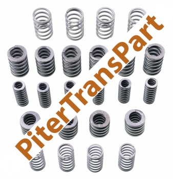 Комплект пружин сцепления Dct450 (K10900-5)