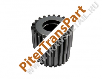 Rear sun gear  (S6884902)