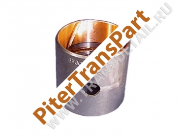 Rear case bushing  (36008D)