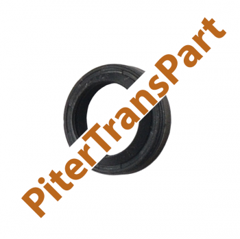 Сальник селектора Dps6/dct250 (10513)