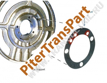 Center support gasket  (36743G)
