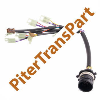 Кабель плиты управления 5hp19 bmw Zf5hp19 (bmw) (1060-227-021)