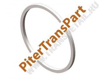 Piston seal  (FD-O-29)