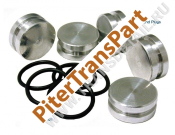 O-ringed end plug kit  (34994-14K)