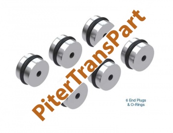 Комплект заглушек гидроблока 6T30e/6t40e (end plug kit, o-ringed) (144510-14K)