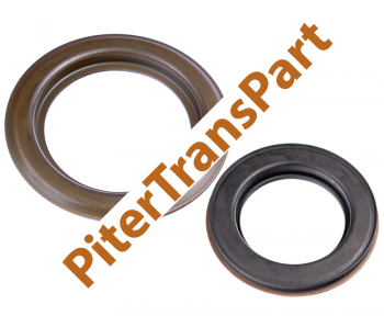 Комплект поршней Dct450/dct470 (209670)