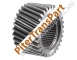 Final drive sungear  (75884B-01K)