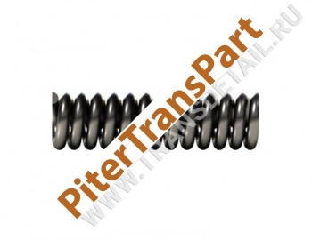 Damper spring  (BW-SD-4)
