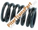 A servo spring  (76831-SP)