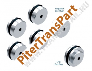O-ringed end plug kit  (126740-09K)