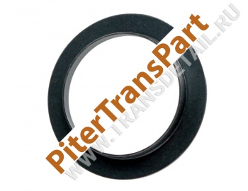 Bearing race  (GM-N-6H)