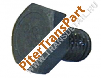 Hex head cap screw  (B79)