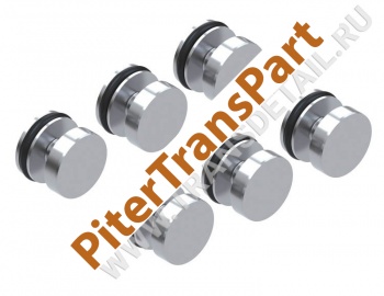 Internal o-ringed end plug kit  (126740-05K)
