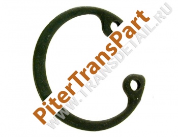 Snap ring  (34994-15)