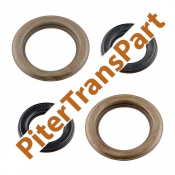 Комплект поршней Dct450 (209300A)