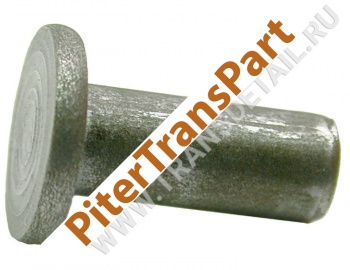 Rivet  (BW-RV-2)