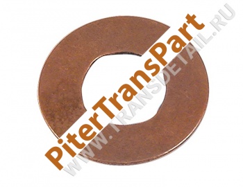 Pinion thrust washer  (34875-04)