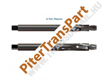 Tool kit  (37000-TL12)