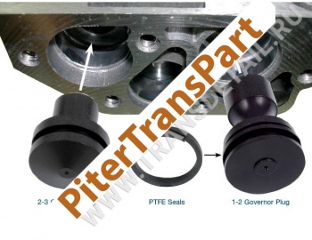 Governor bore plug kit  (22771-14K)