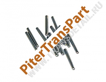 Pinion needle roller  (77732-03)
